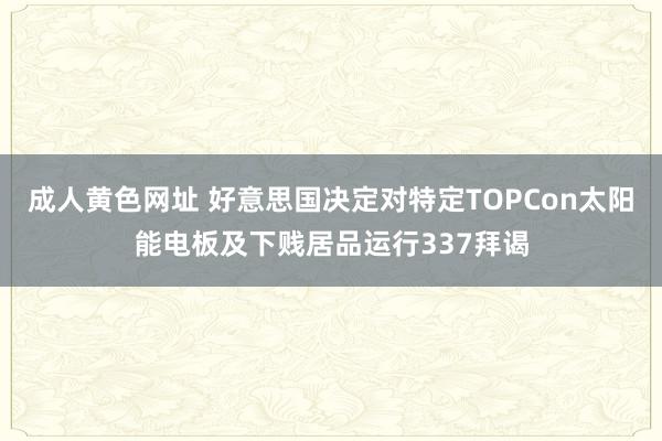 成人黄色网址 好意思国决定对特定TOPCon太阳能电板及下贱居品运行337拜谒