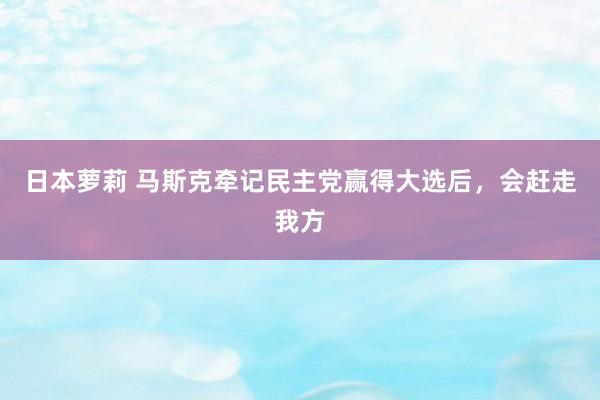 日本萝莉 马斯克牵记民主党赢得大选后，会赶走我方