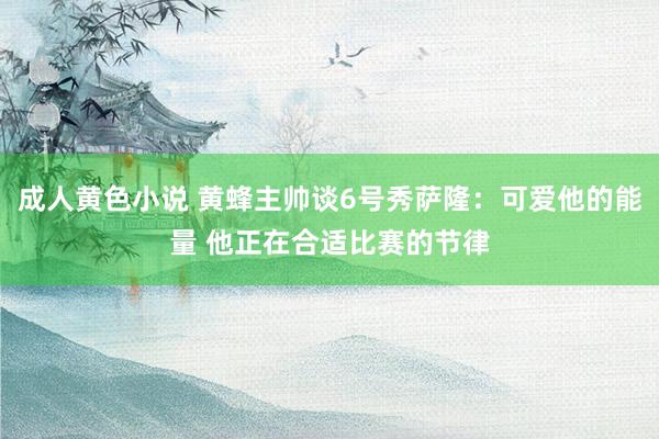 成人黄色小说 黄蜂主帅谈6号秀萨隆：可爱他的能量 他正在合适比赛的节律