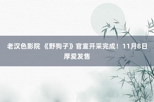 老汉色影院 《野狗子》官宣开采完成！11月8日厚爱发售