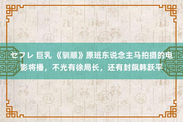 セフレ 巨乳 《驯顺》原班东说念主马拍摄的电影将播，不光有徐局长，还有封飙韩跃平