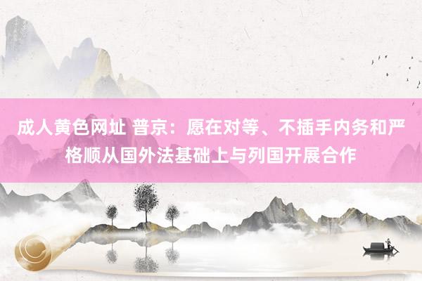 成人黄色网址 普京：愿在对等、不插手内务和严格顺从国外法基础上与列国开展合作