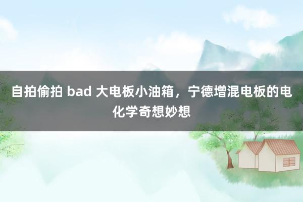 自拍偷拍 bad 大电板小油箱，宁德增混电板的电化学奇想妙想