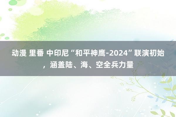 动漫 里番 中印尼“和平神鹰-2024”联演初始，涵盖陆、海、空全兵力量