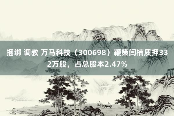 捆绑 调教 万马科技（300698）鞭策闫楠质押332万股，占总股本2.47%