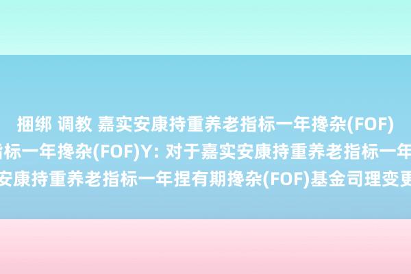 捆绑 调教 嘉实安康持重养老指标一年搀杂(FOF)A，嘉实安康持重养老指标一年搀杂(FOF)Y: 对于嘉实安康持重养老指标一年捏有期搀杂(FOF)基金司理变更的公告