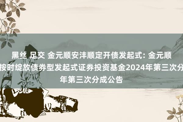 黑丝 足交 金元顺安沣顺定开债发起式: 金元顺安沣顺按时绽放债券型发起式证券投资基金2024年第三次分成公告