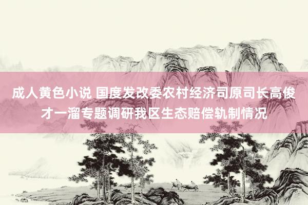 成人黄色小说 国度发改委农村经济司原司长高俊才一溜专题调研我区生态赔偿轨制情况