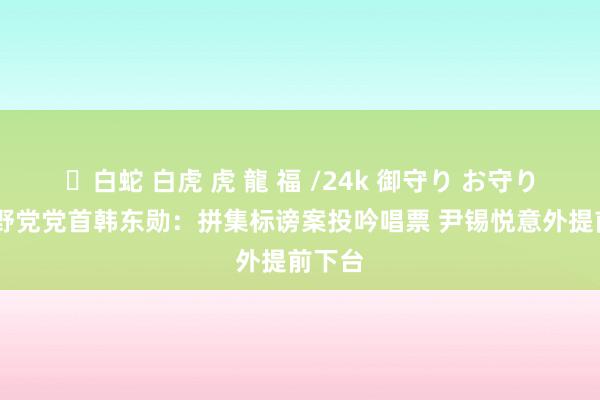 ✨白蛇 白虎 虎 龍 福 /24k 御守り お守り 韩在野党党首韩东勋：拼集标谤案投吟唱票 尹锡悦意外提前下台