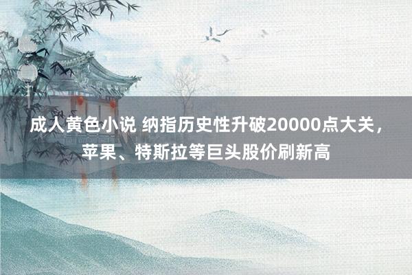 成人黄色小说 纳指历史性升破20000点大关，苹果、特斯拉等巨头股价刷新高