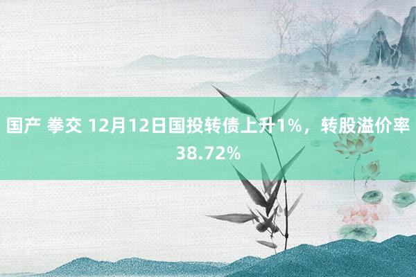 国产 拳交 12月12日国投转债上升1%，转股溢价率38.72%