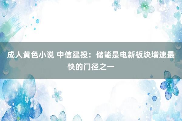 成人黄色小说 中信建投：储能是电新板块增速最快的门径之一