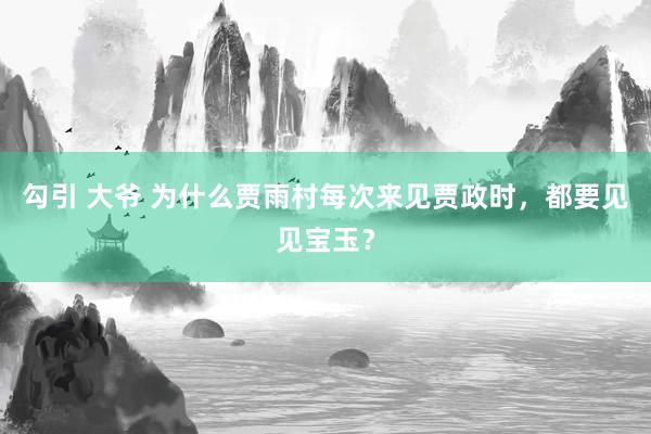 勾引 大爷 为什么贾雨村每次来见贾政时，都要见见宝玉？