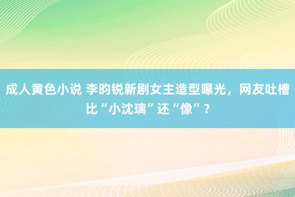 成人黄色小说 李昀锐新剧女主造型曝光，网友吐槽比“小沈璃”还“像”？