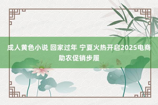 成人黄色小说 回家过年 宁夏火热开启2025电商助农促销步履