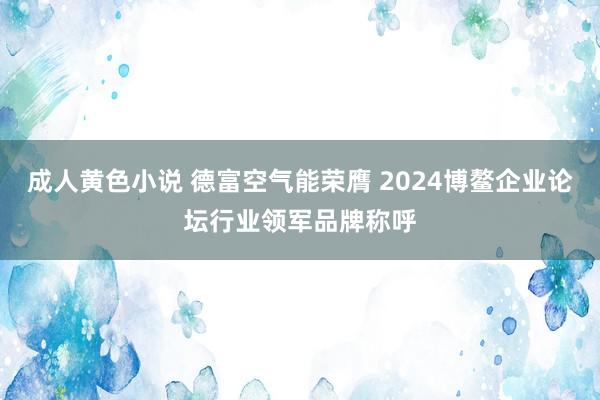 成人黄色小说 德富空气能荣膺 2024博鳌企业论坛行业领军品牌称呼